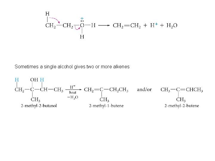 Sometimes a single alcohol gives two or more alkenes 