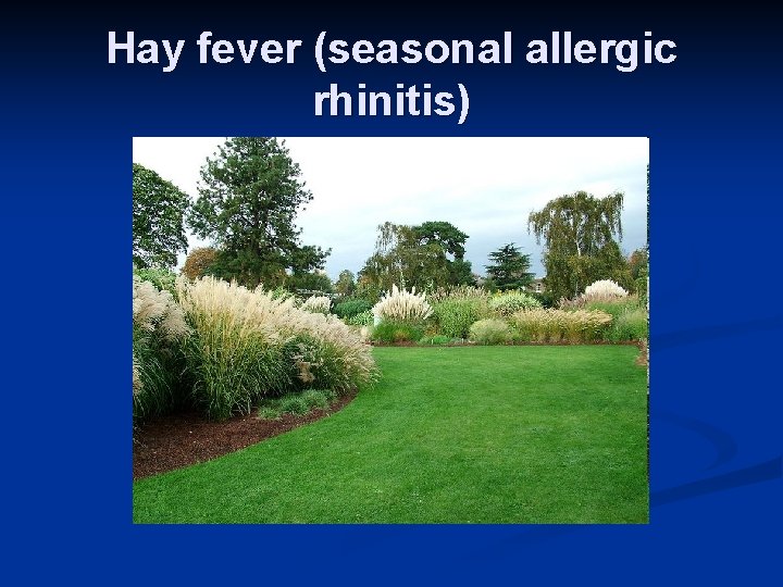 Hay fever (seasonal allergic rhinitis) 