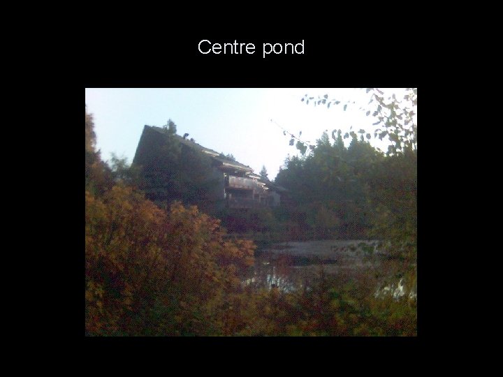 Centre pond 
