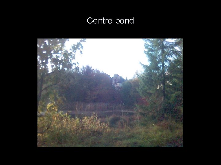 Centre pond 