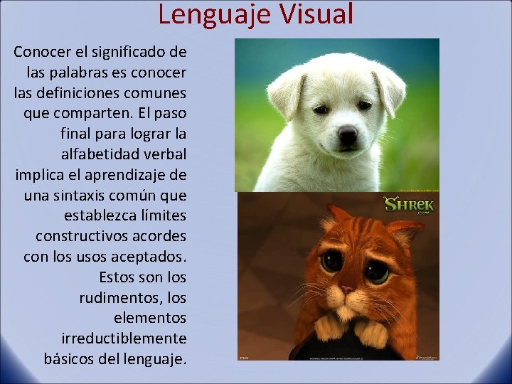 Lenguaje Visual Conocer el significado de las palabras es conocer las definiciones comunes que