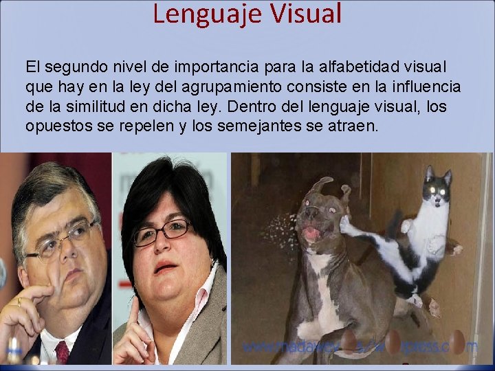 Lenguaje Visual El segundo nivel de importancia para la alfabetidad visual que hay en