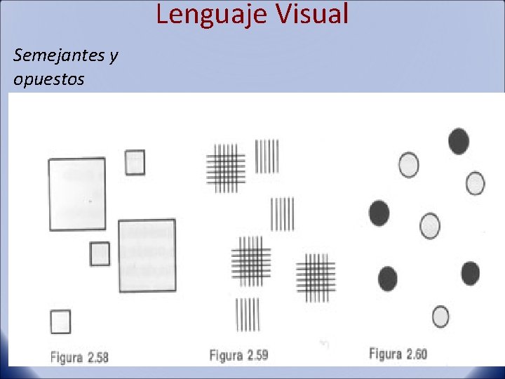 Lenguaje Visual Semejantes y opuestos 