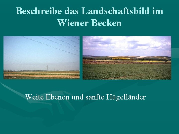 Beschreibe das Landschaftsbild im Wiener Becken Weite Ebenen und sanfte Hügelländer 