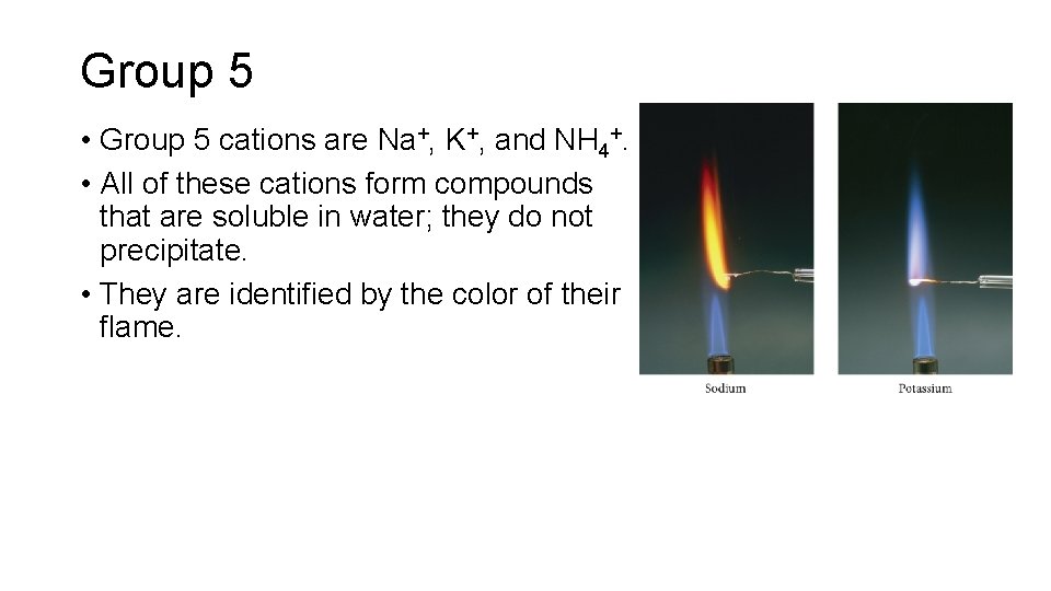 Group 5 • Group 5 cations are Na+, K+, and NH 4+. • All