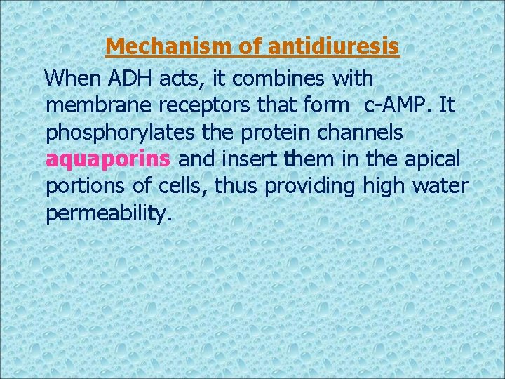 Mechanism of antidiuresis When ADH acts, it combines with membrane receptors that form c-AMP.