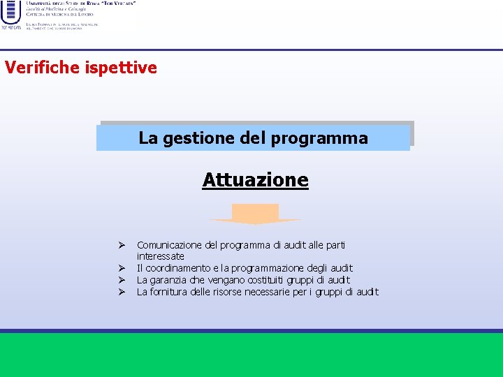 Verifiche ispettive La gestione del programma Attuazione Ø Ø Comunicazione del programma di audit