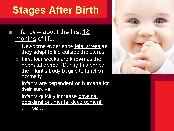 Stages After Birth n Infancy – about the first 18 months of life. q Stages After Birth n Infancy – about the first 18 months of life. q