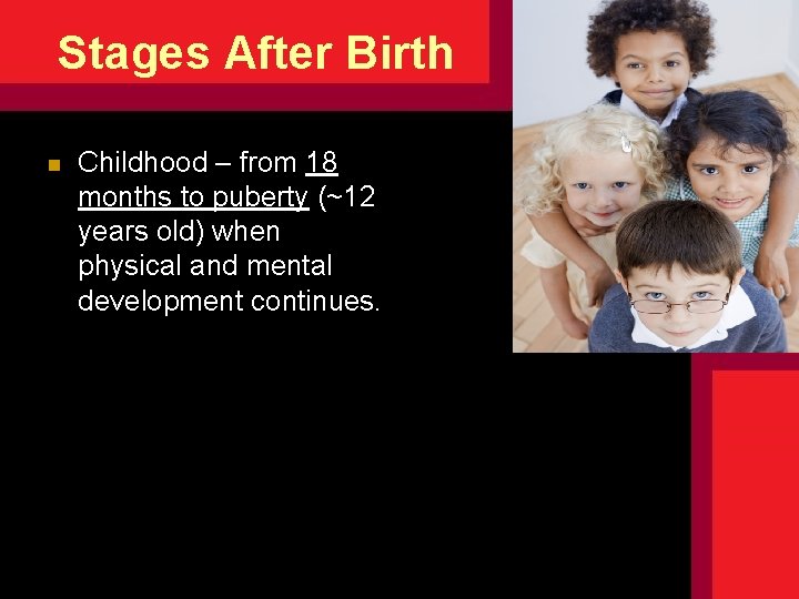 Stages After Birth n Childhood – from 18 months to puberty (~12 years old) Stages After Birth n Childhood – from 18 months to puberty (~12 years old)