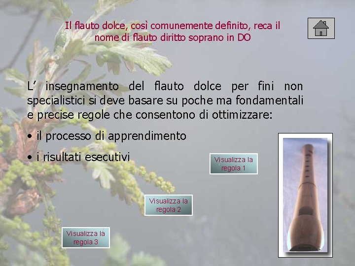 Il flauto dolce, così comunemente definito, reca il nome di flauto diritto soprano in