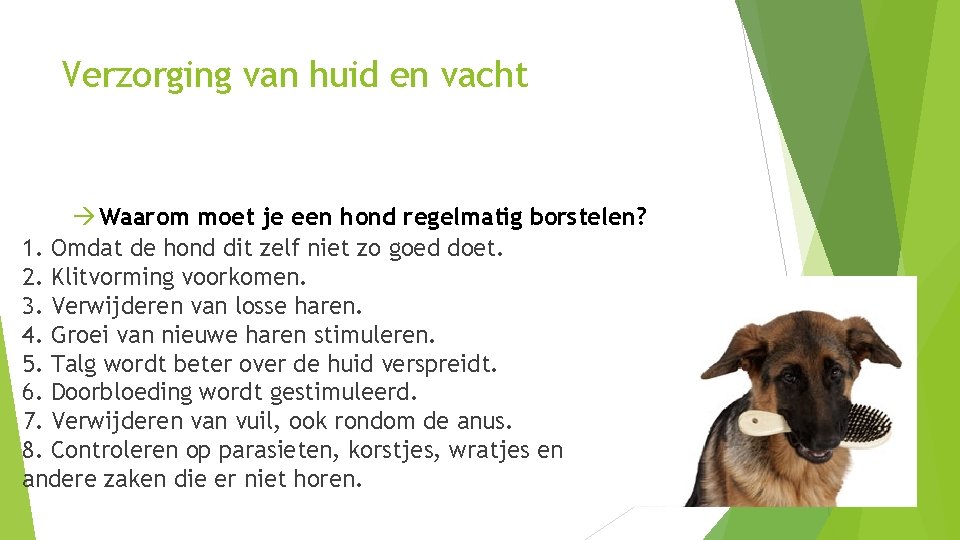 Verzorging van huid en vacht Waarom moet je een hond regelmatig borstelen? 1. Omdat