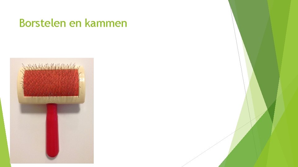 Borstelen en kammen 