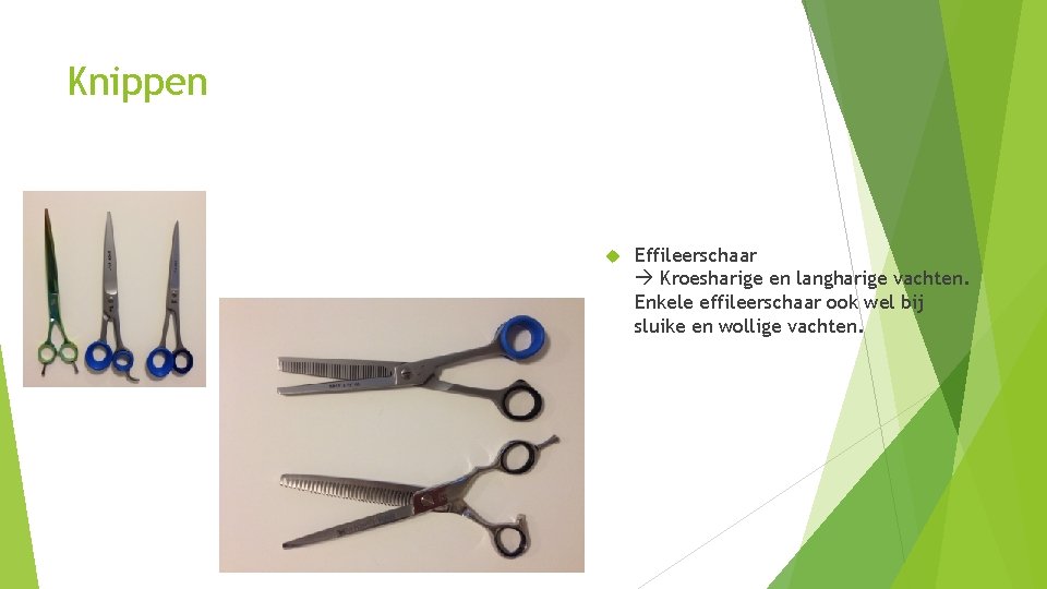 Knippen Effileerschaar Kroesharige en langharige vachten. Enkele effileerschaar ook wel bij sluike en wollige