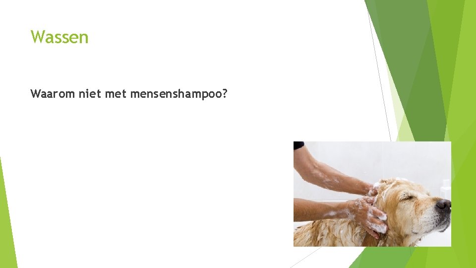 Wassen Waarom niet mensenshampoo? 