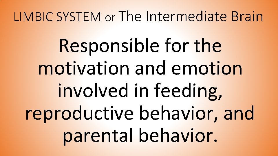 LIMBIC SYSTEM or The Intermediate Brain Responsible for the motivation and emotion involved in