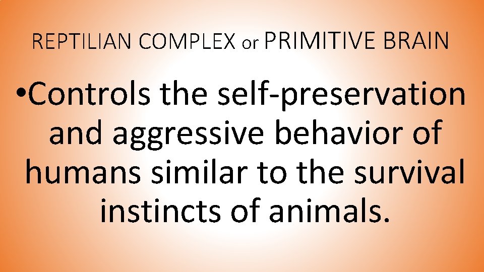 REPTILIAN COMPLEX or PRIMITIVE BRAIN • Controls the self-preservation and aggressive behavior of humans