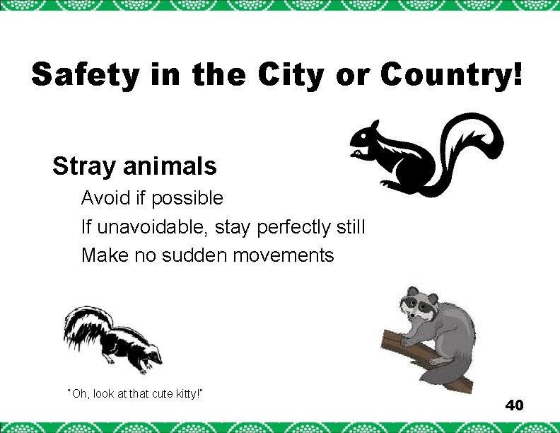 Safety in the City or Country! Stray animals Avoid if possible If unavoidable, stay