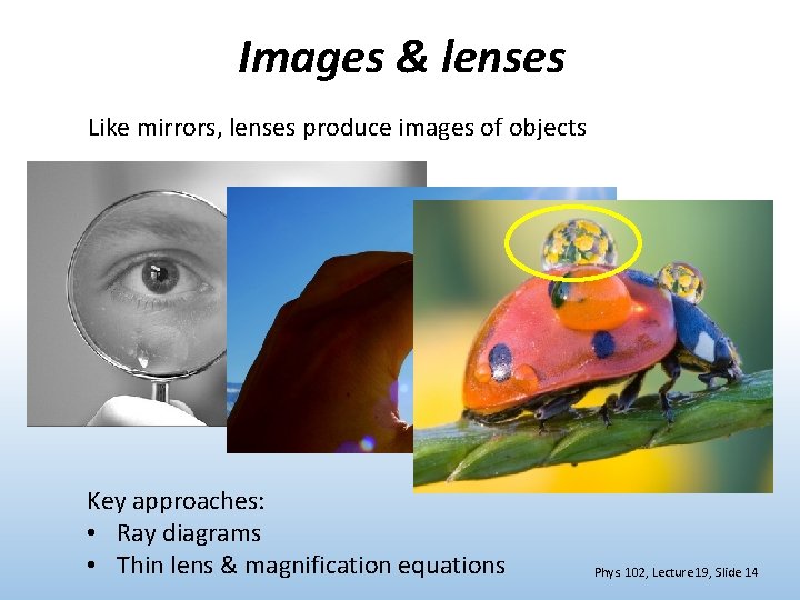 Images & lenses Like mirrors, lenses produce images of objects Key approaches: • Ray