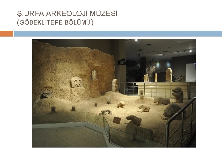 Ş. URFA ARKEOLOJİ MÜZESİ (GÖBEKLİTEPE BÖLÜMÜ) 