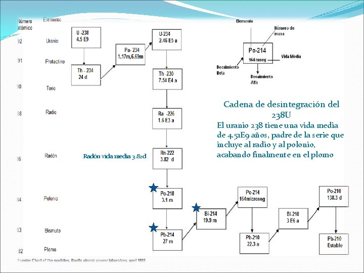 Cadena de desintegración del 238 U Radón vida media 3. 82 d El uranio Cadena de desintegración del 238 U Radón vida media 3. 82 d El uranio