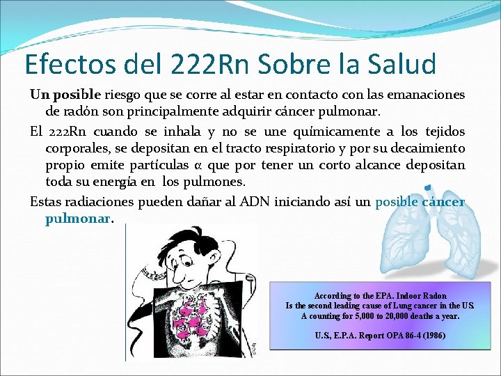 Efectos del 222 Rn Sobre la Salud Un posible riesgo que se corre al Efectos del 222 Rn Sobre la Salud Un posible riesgo que se corre al