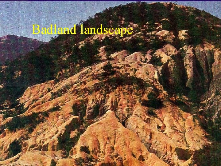 Badlandscape 