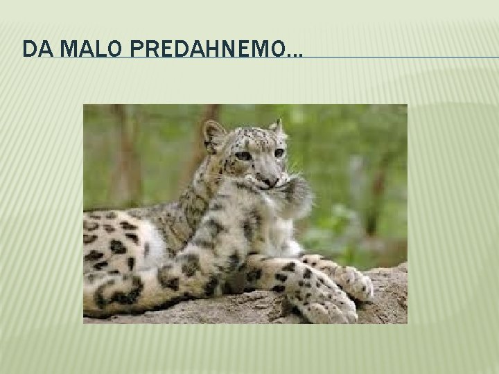 DA MALO PREDAHNEMO. . . 