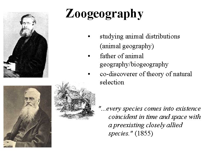 Zoogeography • • • studying animal distributions (animal geography) father of animal geography/biogeography co-discoverer