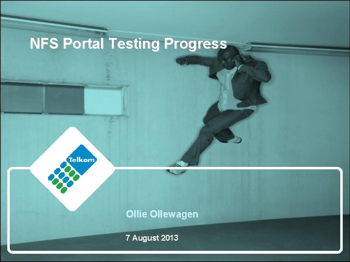 NFS Portal Testing Progress Ollie Ollewagen 7 August 2013 