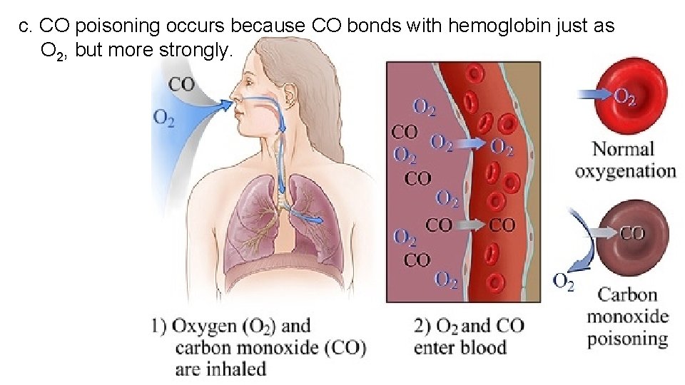  c. CO poisoning occurs because CO bonds with hemoglobin just as O 2,