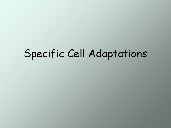 Specific Cell Adaptations 