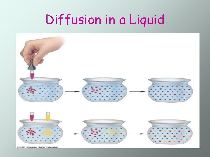 Diffusion in a Liquid 