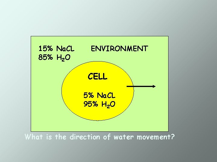 15% Na. CL 85% H 2 O ENVIRONMENT CELL 5% Na. CL 95% H