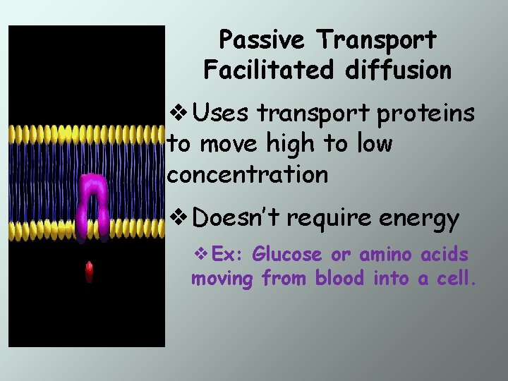 Passive Transport Facilitated diffusion ❖Uses transport proteins to move high to low concentration ❖Doesn’t