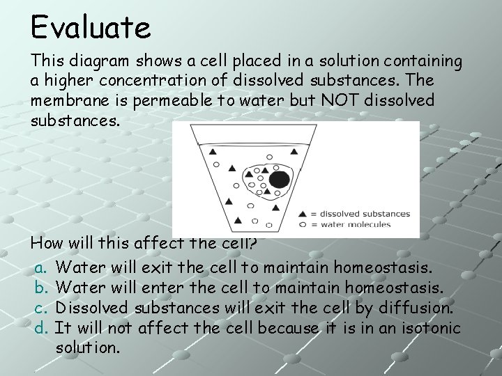 Evaluate This diagram shows a cell placed in a solution containing a higher concentration