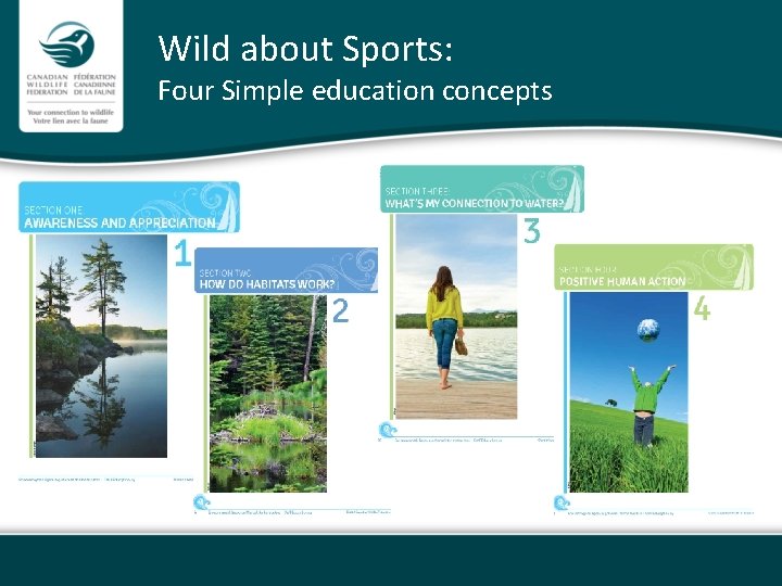Wild about Sports: Four Simple education concepts 