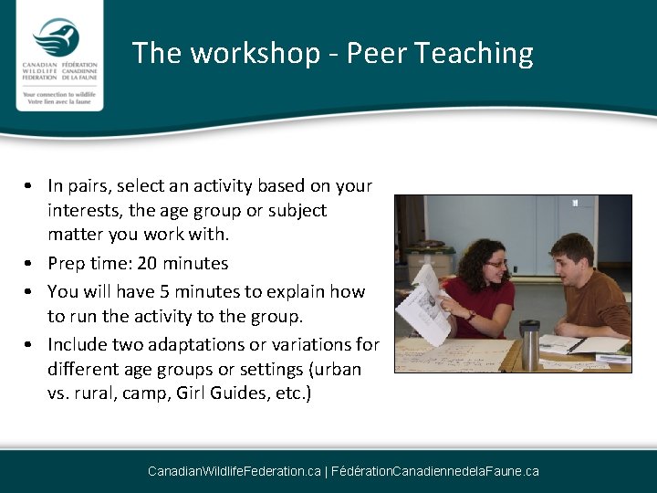 The workshop - Peer Teaching • In pairs, select an activity based on your