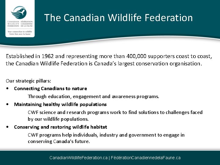 The Canadian Wildlife Federation Established in 1962 and representing more than 400, 000 supporters