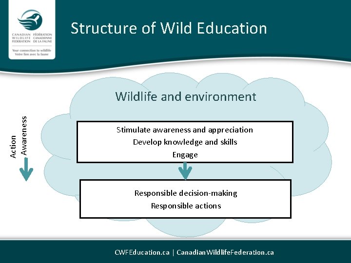 Structure of Wild Education Action Awareness Wildlife and environment Stimulate awareness and appreciation Develop