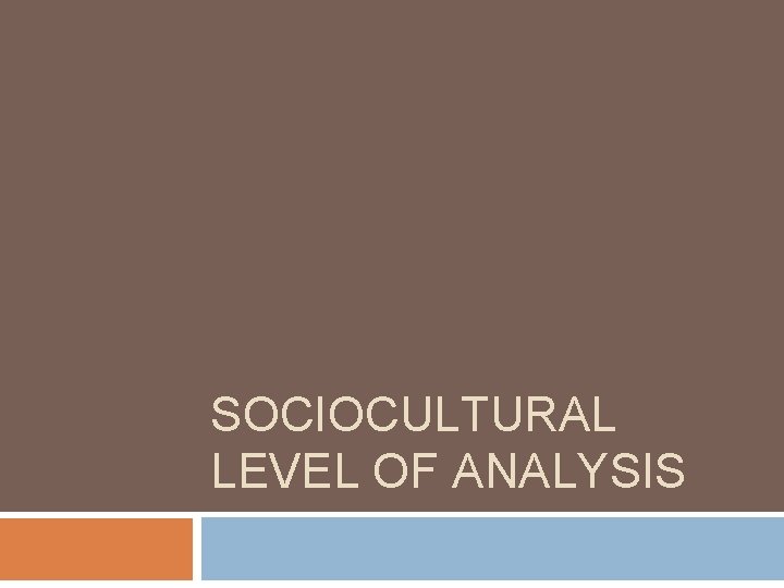 SOCIOCULTURAL LEVEL OF ANALYSIS 