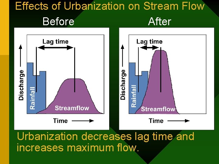 Effects of Urbanization on Stream Flow Before After Urbanization decreases lag time and increases