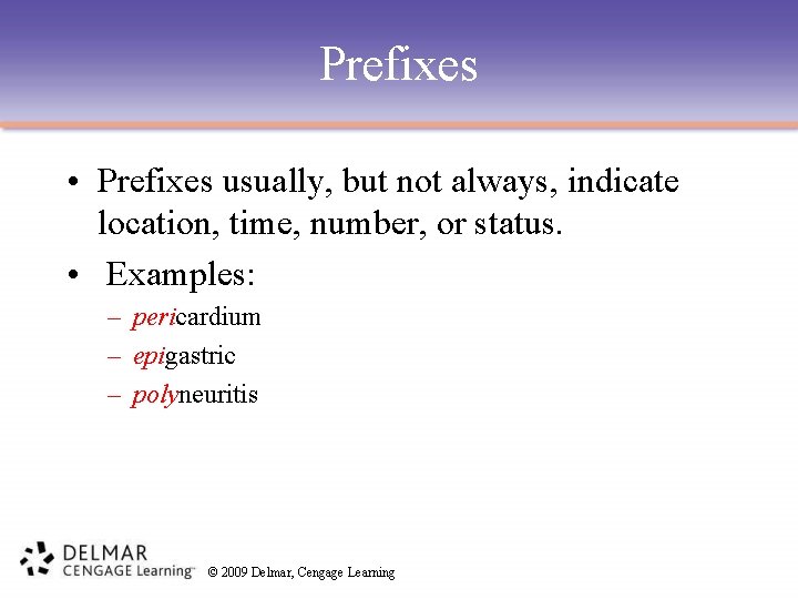 Prefixes • Prefixes usually, but not always, indicate location, time, number, or status. •
