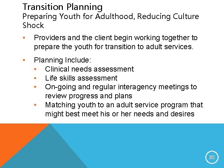Transition Planning Preparing Youth for Adulthood, Reducing Culture Shock • Providers and the client
