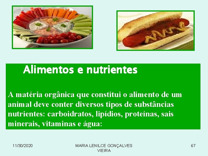 Alimentos e nutrientes A matéria orgânica que constitui o alimento de um animal deve