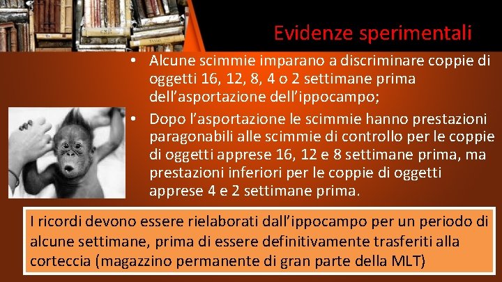 Evidenze sperimentali • Alcune scimmie imparano a discriminare coppie di oggetti 16, 12, 8,