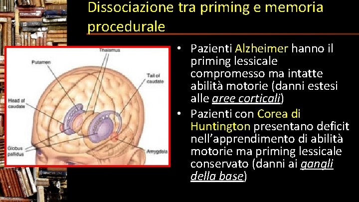 Dissociazione tra priming e memoria procedurale • Pazienti Alzheimer hanno il priming lessicale compromesso