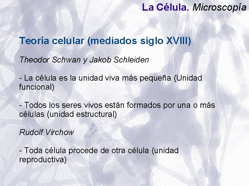 La Célula. Microscopía Teoría celular (mediados siglo XVIII) Theodor Schwan y Jakob Schleiden - La Célula. Microscopía Teoría celular (mediados siglo XVIII) Theodor Schwan y Jakob Schleiden -