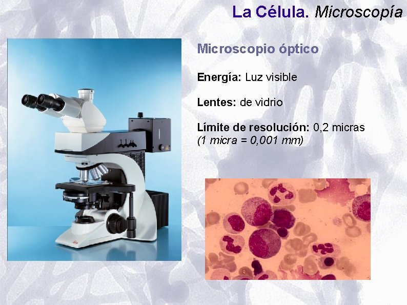 La Célula. Microscopía Microscopio óptico Energía: Luz visible Lentes: de vidrio Límite de resolución: La Célula. Microscopía Microscopio óptico Energía: Luz visible Lentes: de vidrio Límite de resolución: