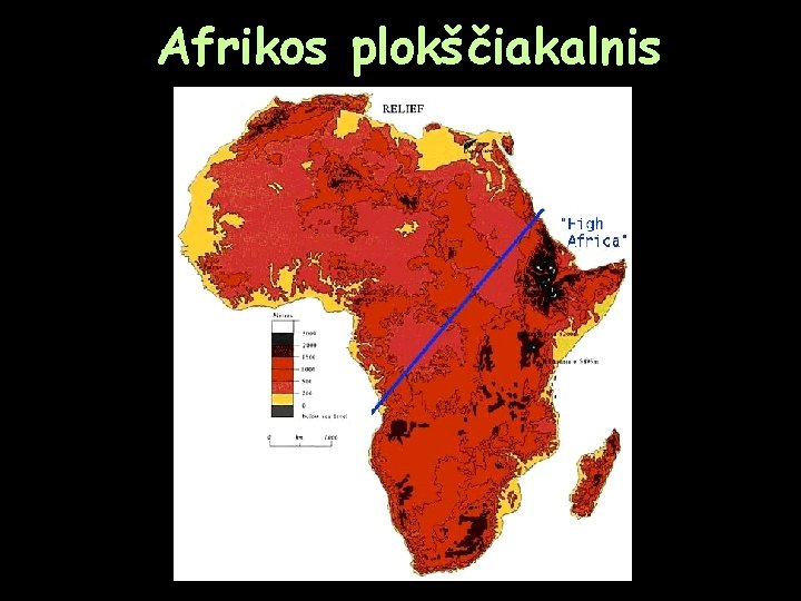 Afrikos plokščiakalnis 