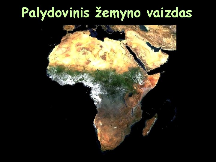 Palydovinis žemyno vaizdas 